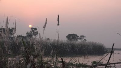 বাগদেবীর বন্দনা, শারদীয় পূজাবাতাস আর নৌকাবাইচের রোদ বাগদেবীর বন্দনা, শারদীয় পূজাবাতাস আর নৌকাবাইচের রোদ