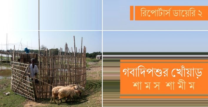রিপোর্টার্স ডায়েরি ২ / গবাদিপশুর খোঁয়াড়  || শামস শামীম
