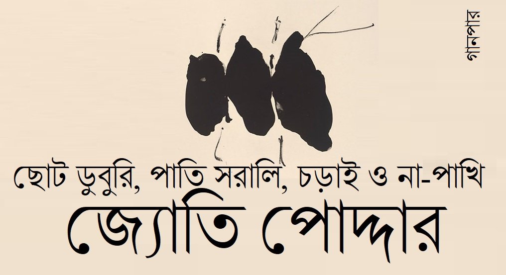 ছোট ডুবুরি, পাতি সরালি, চড়াই ও না-পাখি || জ্যোতি পোদ্দার