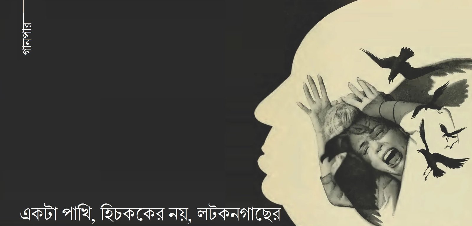 একটা পাখি, হিচককের নয়, লটকনগাছের