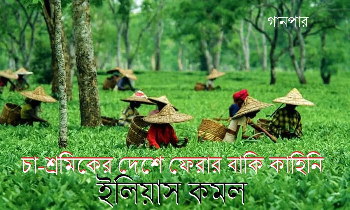 চা-শ্রমিকের দেশে ফেরার বাকি কাহিনি || ইলিয়াস কমল