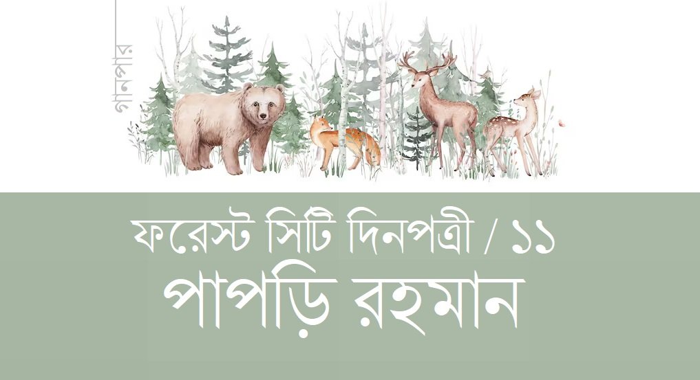 ফরেস্ট সিটি দিনপত্রী / ১১ || পাপড়ি রহমান
